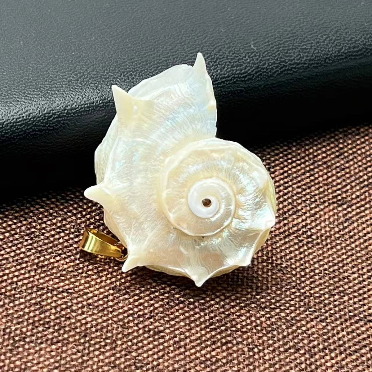 5pcs/set 25-40mm Natural White Shell Conch Shape Pendant Bohe Shell Charms for Jewelry Making DIY Necklace Earrings Accessories