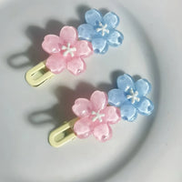 2pcs