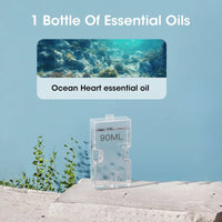 Ocean Oil