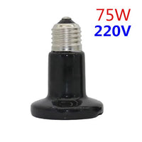 220V-75W