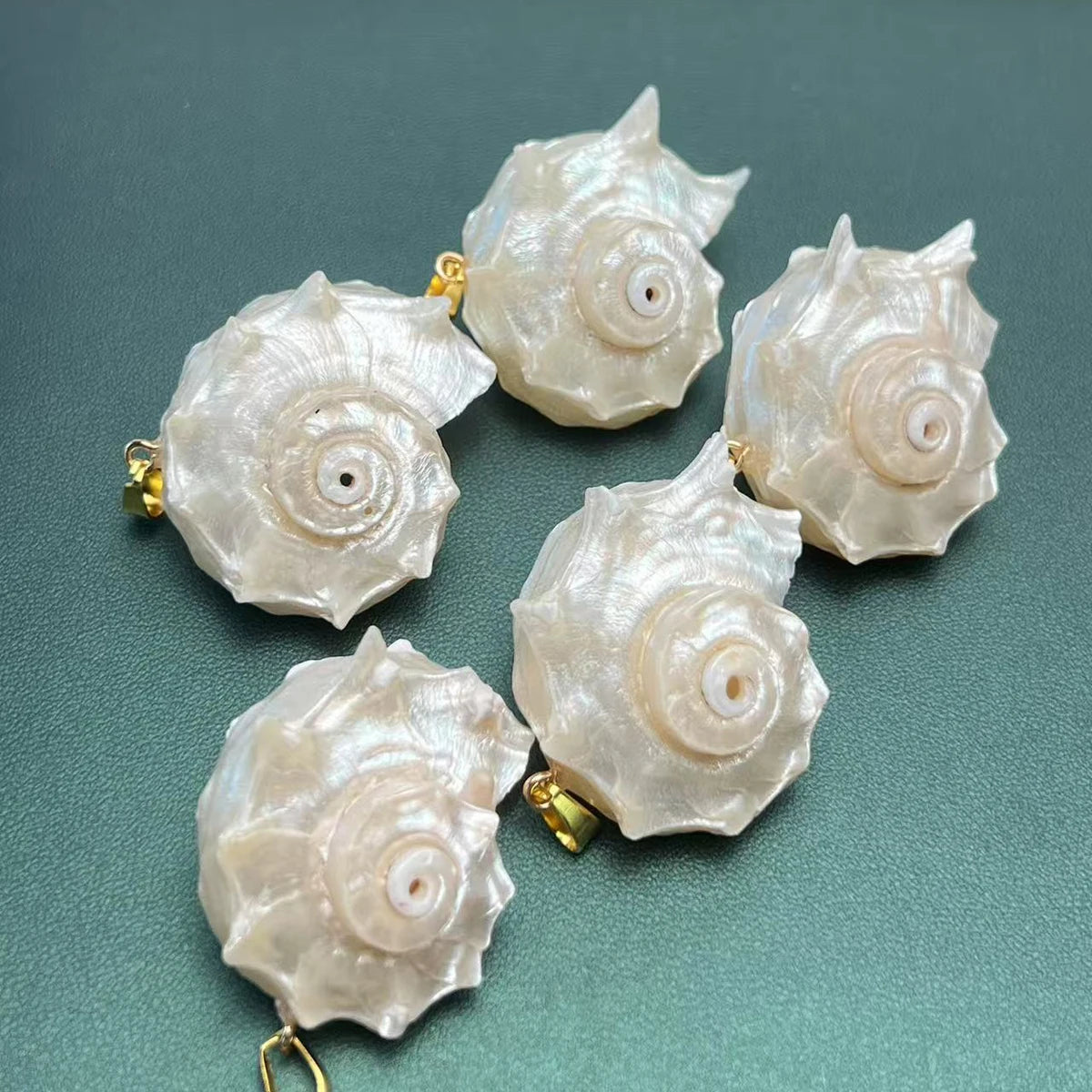 5pcs/set 25-40mm Natural White Shell Conch Shape Pendant Bohe Shell Charms for Jewelry Making DIY Necklace Earrings Accessories