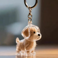 Dog3