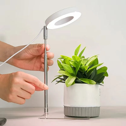 Full Spectrum Fill Light LED Grow Lamp for Indoor Solar Plants with Adjustable Height, 3/9/12H Timer 10-Level Dimming for Garden