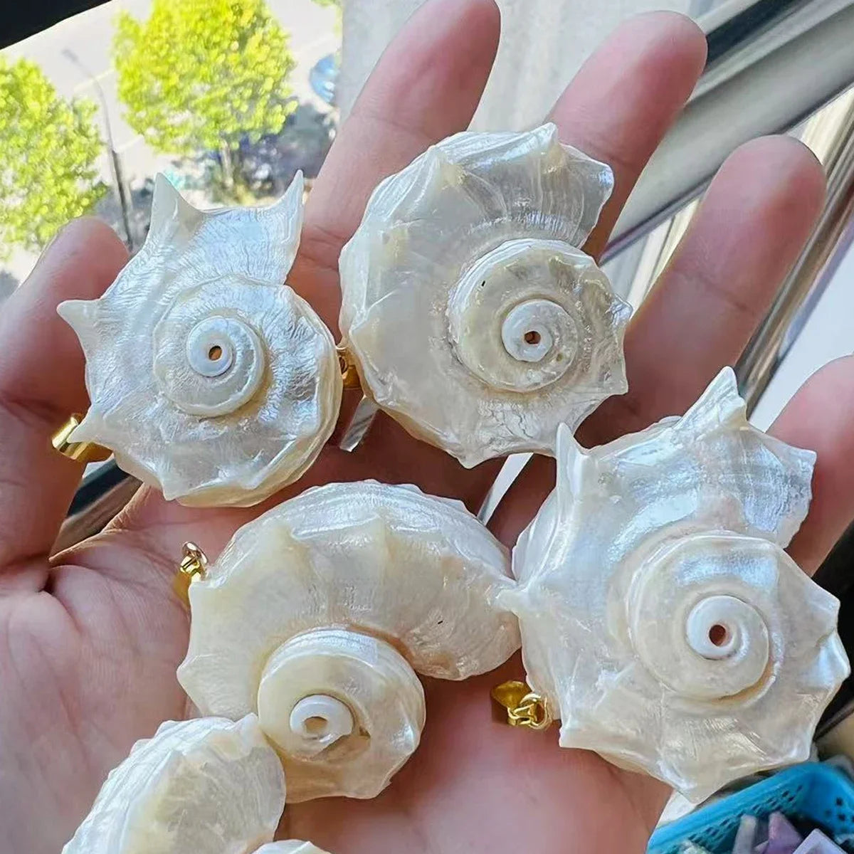 5pcs/set 25-40mm Natural White Shell Conch Shape Pendant Bohe Shell Charms for Jewelry Making DIY Necklace Earrings Accessories