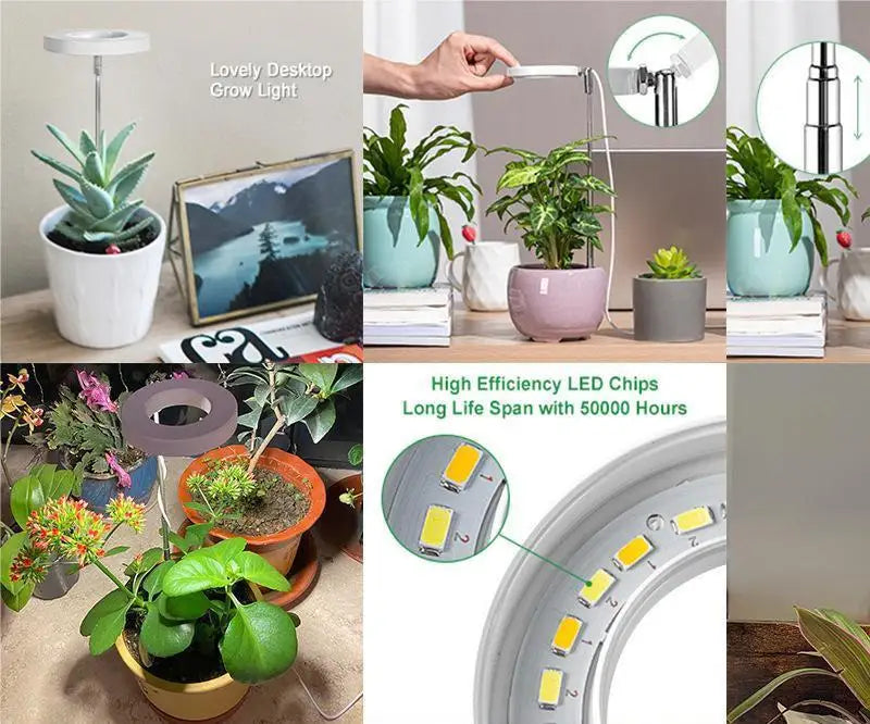 Full Spectrum Fill Light LED Grow Lamp for Indoor Solar Plants with Adjustable Height, 3/9/12H Timer 10-Level Dimming for Garden