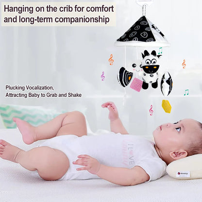 Black and White High Contrast Baby Toys Car Seat Toys for Newborn Hanging  Stroller Toy for 0 12 Months Infant Rattle Toys