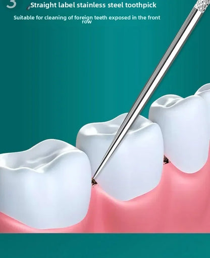 Stainless Steel Toothpick Set Reusable Toothpicks Tooth Flossing Tartar Removal Tool Portable Teeth Cleaner for Tooth Oral Clean