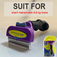 (M)Short hair cats