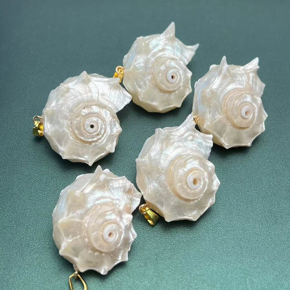 5pcs/set 25-40mm Natural White Shell Conch Shape Pendant Bohe Shell Charms for Jewelry Making DIY Necklace Earrings Accessories