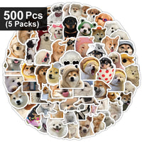 500pcs(5 packs)