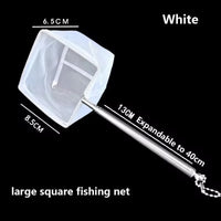 Large Square