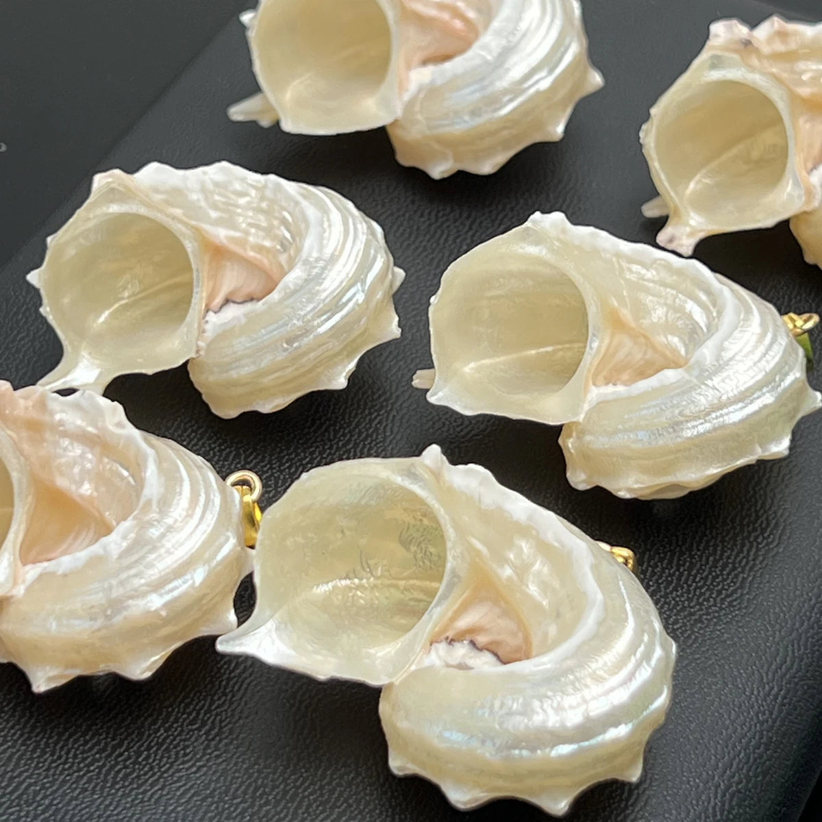5pcs/set 25-40mm Natural White Shell Conch Shape Pendant Bohe Shell Charms for Jewelry Making DIY Necklace Earrings Accessories