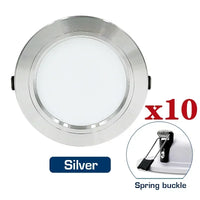 Silver Spring Buckle