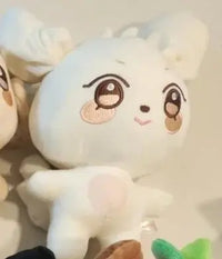 25cm G