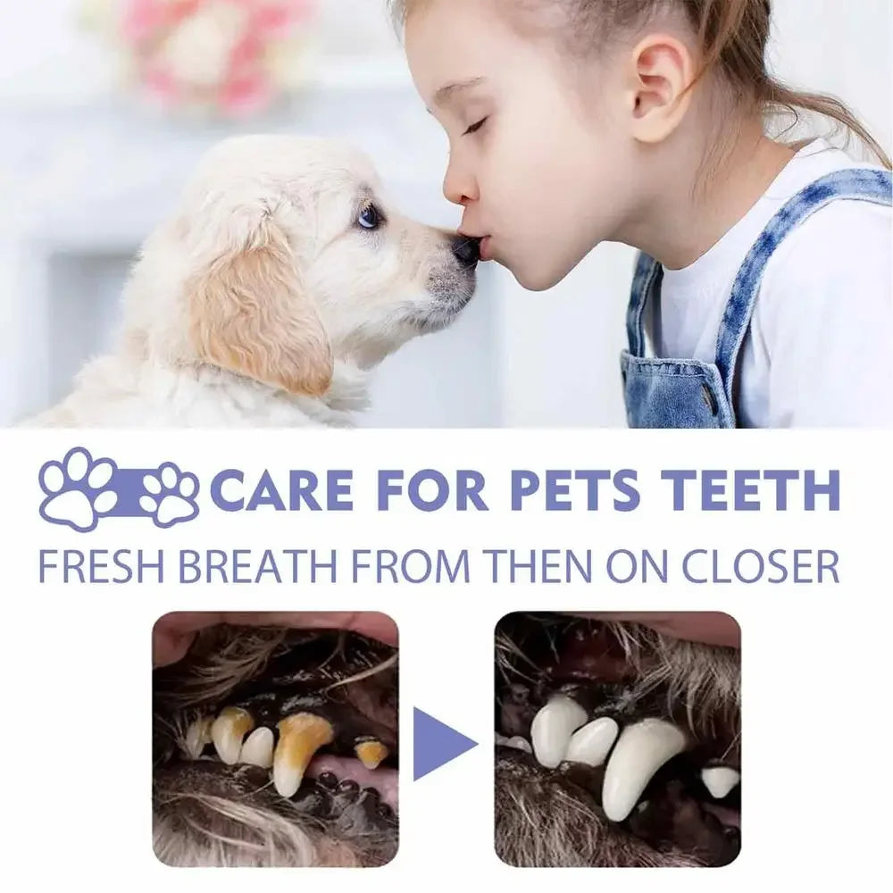 Pet Oral Cleaning Spray 50ml Dogs Cats Teeth Clean Deodorant Prevent Calculus Remove Kitten Bad Breath Mouth Fresh Pet Supplies
