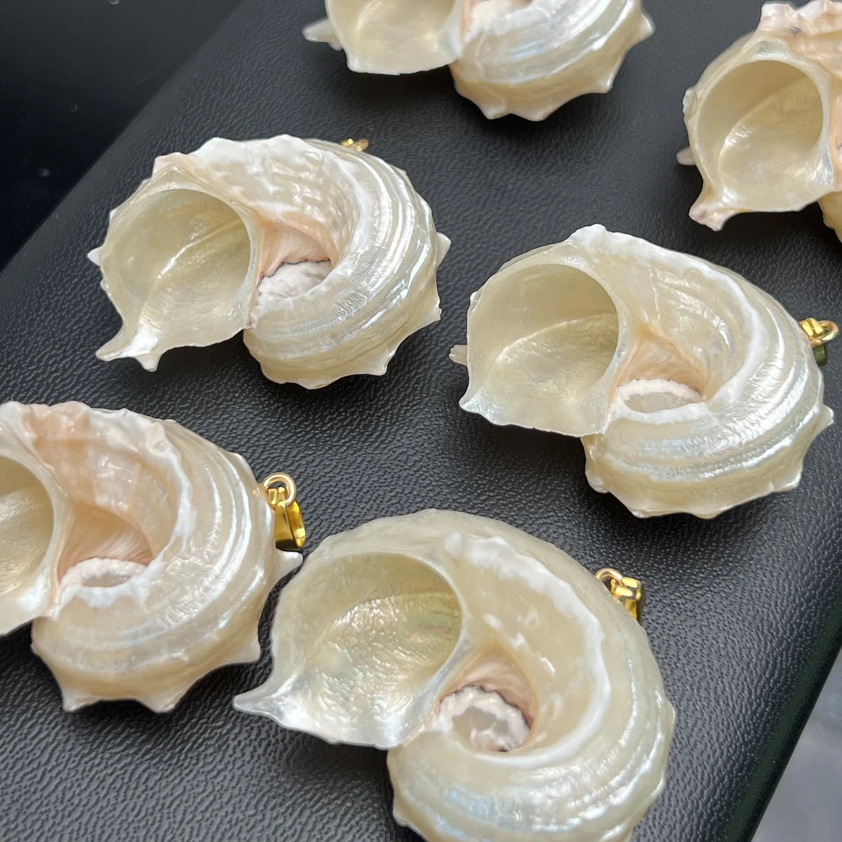 5pcs/set 25-40mm Natural White Shell Conch Shape Pendant Bohe Shell Charms for Jewelry Making DIY Necklace Earrings Accessories