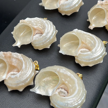 5pcs/set 25-40mm Natural White Shell Conch Shape Pendant Bohe Shell Charms for Jewelry Making DIY Necklace Earrings Accessories