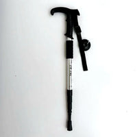 Silver-T