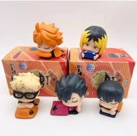 Whole box 5 pcs
