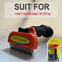 (M)Short hair dogs