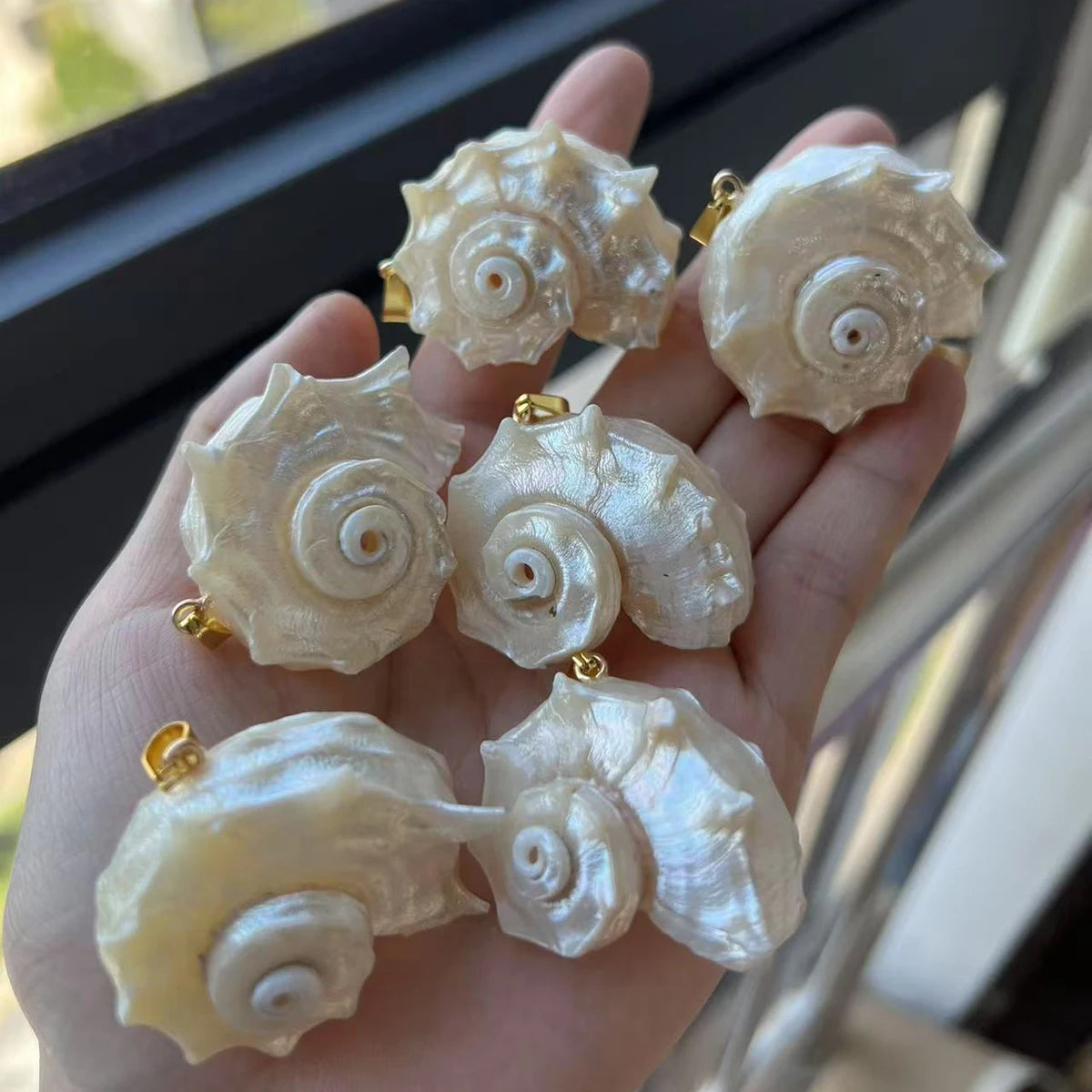 5pcs/set 25-40mm Natural White Shell Conch Shape Pendant Bohe Shell Charms for Jewelry Making DIY Necklace Earrings Accessories