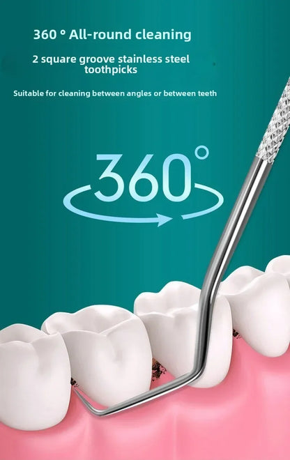 Stainless Steel Toothpick Set Reusable Toothpicks Tooth Flossing Tartar Removal Tool Portable Teeth Cleaner for Tooth Oral Clean
