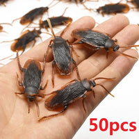 Cockroach-50pcs