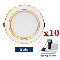 Gold Spring Buckle
