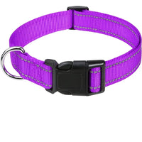 11-Purple