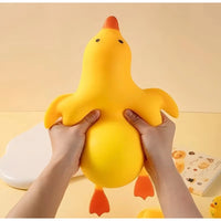 16cm duck 2pcs