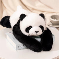 panda krq