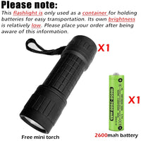 2600mAh battery