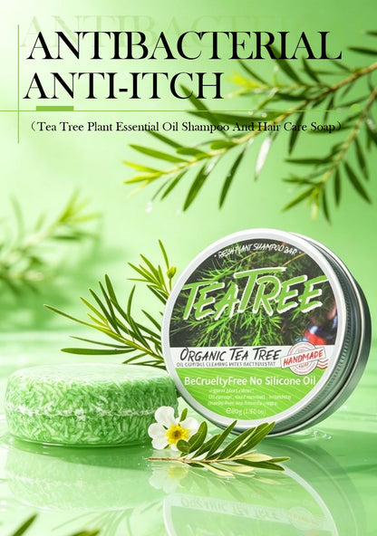 Tea tree essential oil plant shampoo is refreshing, oil controlling, dandruff reducing, and strong for hair. Handmade shampoo wi