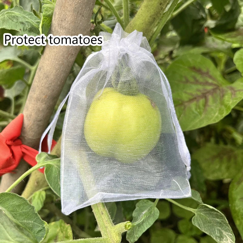 50Pcs Grapes Fruit Protection Bags Pest Control Anti-Bird Garden Netting Bags Mesh Agricultural Tree Garden Tool Bags