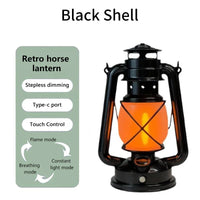 black shell