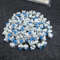 20pcs Blue
