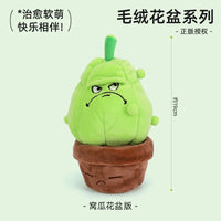 009-Squash