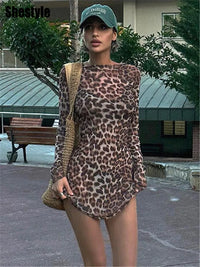 leopard
