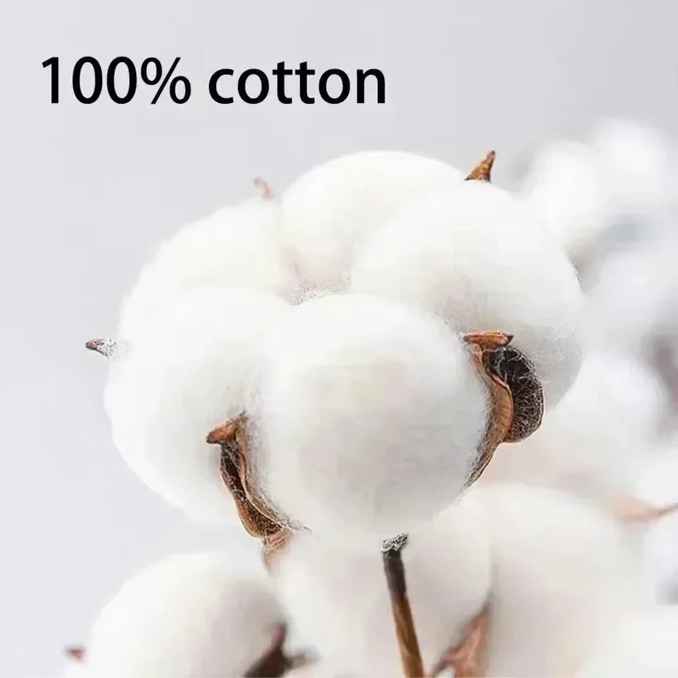 100% Cotton Men's  T-shirt O-neck Solid Color Bottoming Shirt Universal Casual Breathable T-shirt Tops Spring Autumn