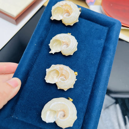5pcs/set 25-40mm Natural White Shell Conch Shape Pendant Bohe Shell Charms for Jewelry Making DIY Necklace Earrings Accessories