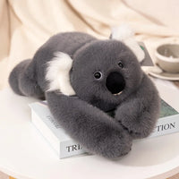 koala krq