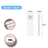 Silvery 10CM