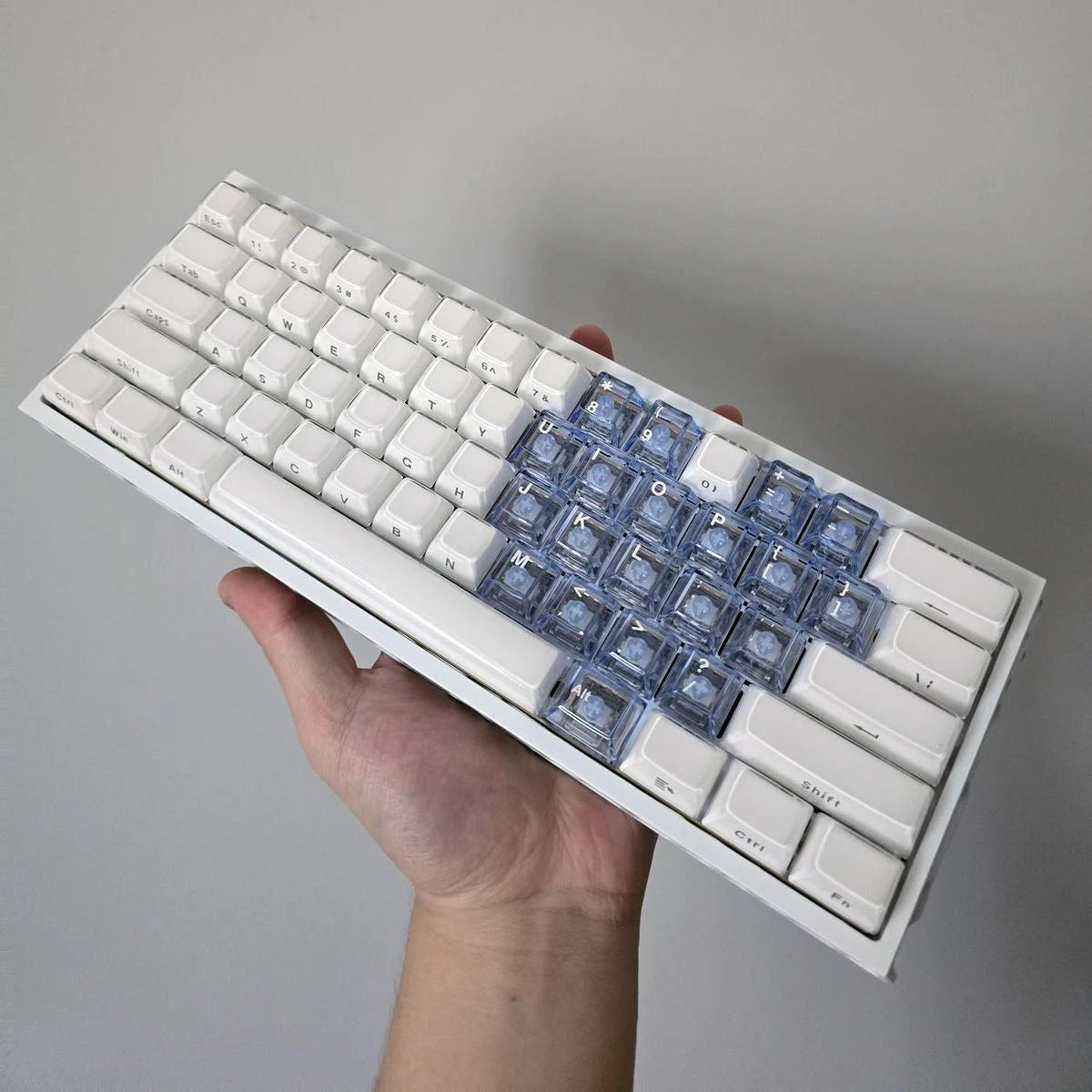XVX White Custom Side Printed Keycaps Crystal Jelly Keycaps 113 Keys OEM Profile for Cherry MX Switches Mechanical Keyboard