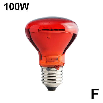 E27 Poultry Heating Bulb 25W-100W Infrared Insulation Heating For Reptiles Plants Amphibians Pets Livestock Lamp Tools