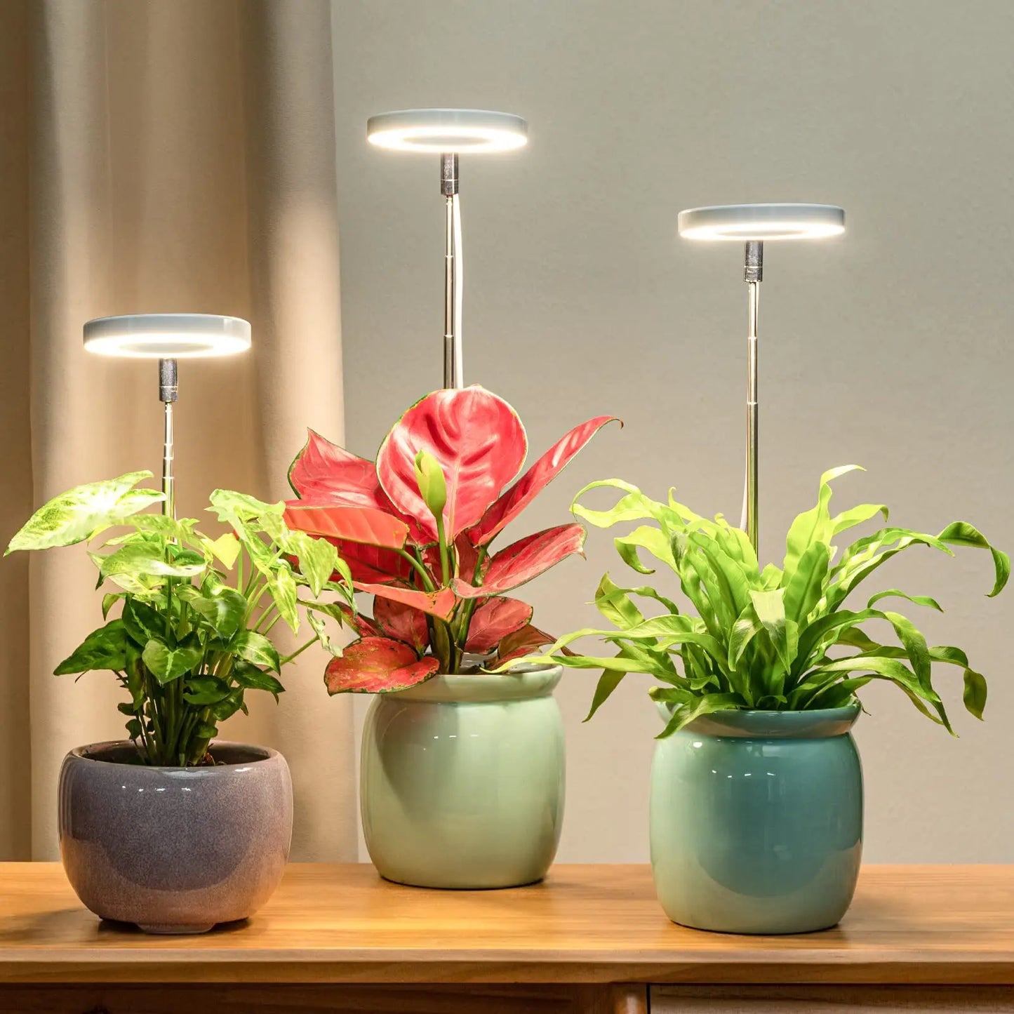 Full Spectrum Fill Light LED Grow Lamp for Indoor Solar Plants with Adjustable Height, 3/9/12H Timer 10-Level Dimming for Garden