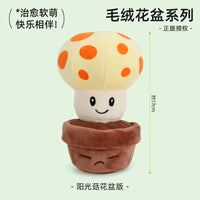 002-Sun-shroom