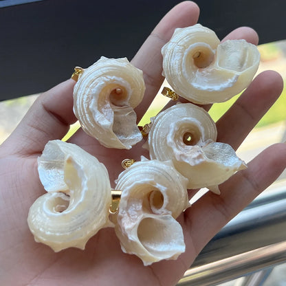 5pcs/set 25-40mm Natural White Shell Conch Shape Pendant Bohe Shell Charms for Jewelry Making DIY Necklace Earrings Accessories