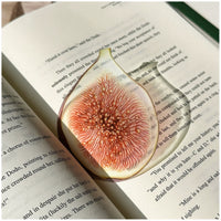 fig