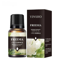 Freesia
