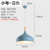 24cm Blue